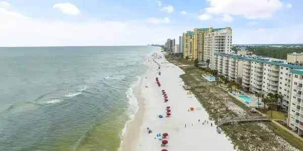 13351 Johnson Beach Rd