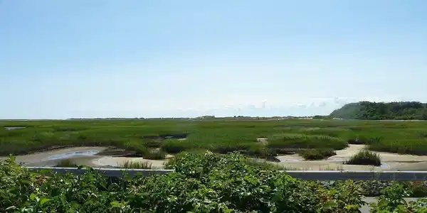 75 Province Lands  Rd