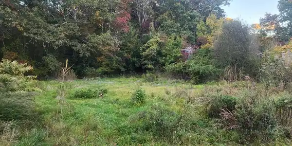 190 Old Bulgarmarsh Rd