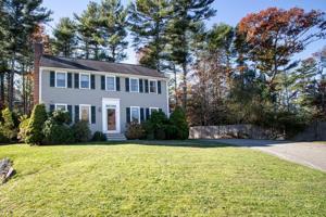 3 Joanne Drive
