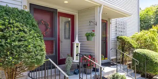 3 Cherry Mew