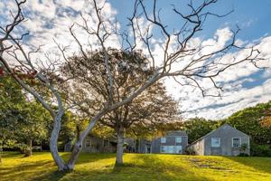 48 Forest Road