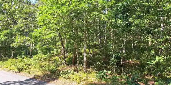 49 Oak Valley Rd