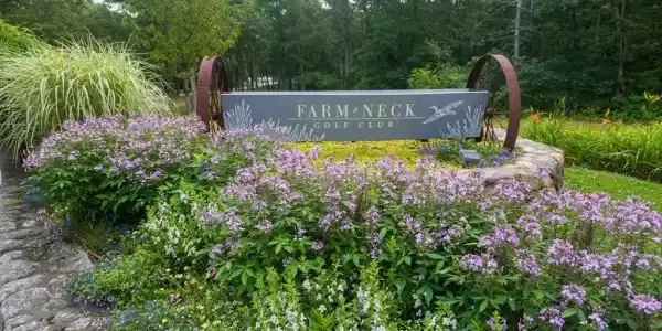 12 Tamarack Ln