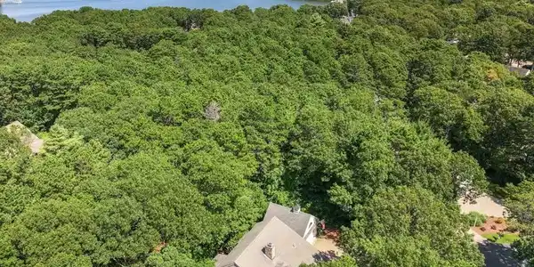 43 Driftwood Cir
