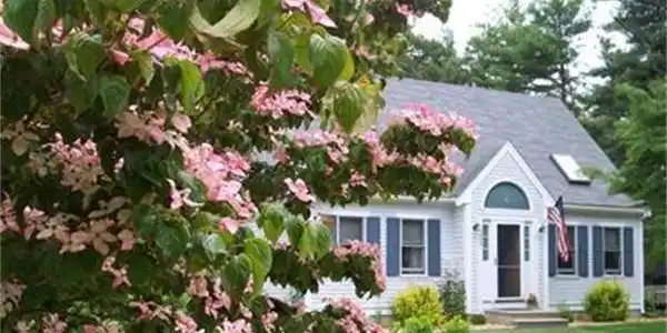 208 Mashpee Neck Rd