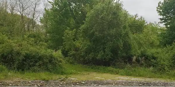 00 Bulgarmarsh Rd