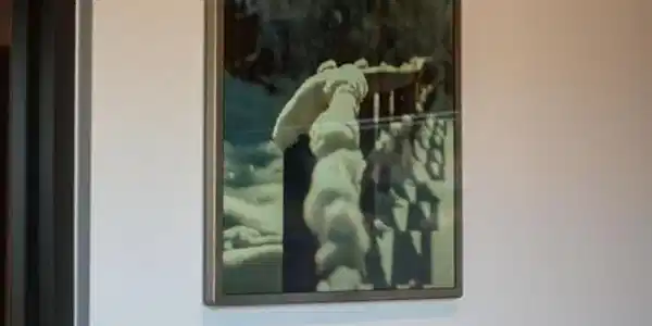 Image 4
