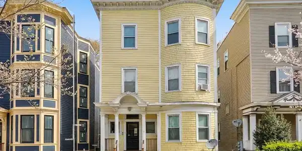 9 Bellflower