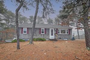 41 Winchester Dr