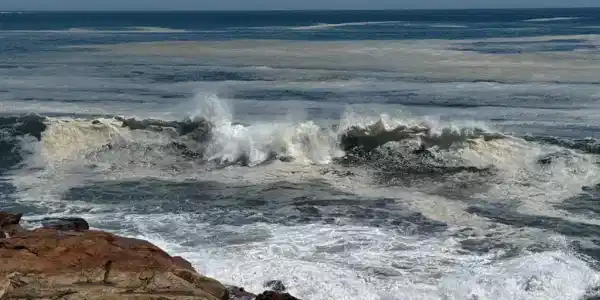 87 Atlantic Road