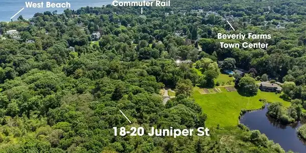 18 Juniper