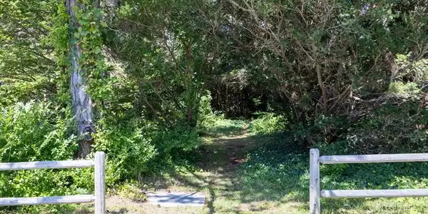 264 Sea View Ave