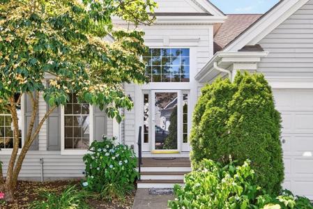 29 Belltree