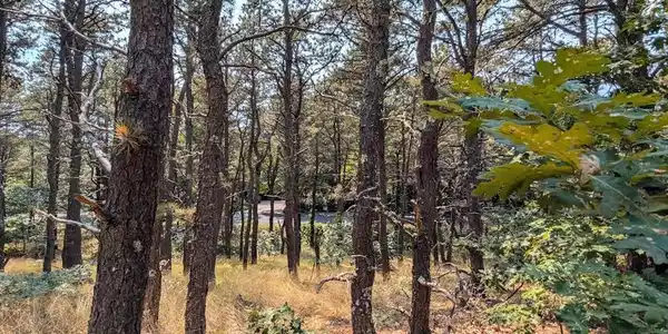 4 Sandpiper Road