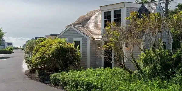 3 Hydrangea Ln