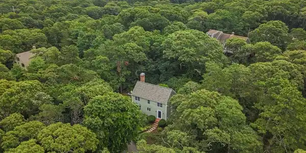 236 Blueberry Pond Dr