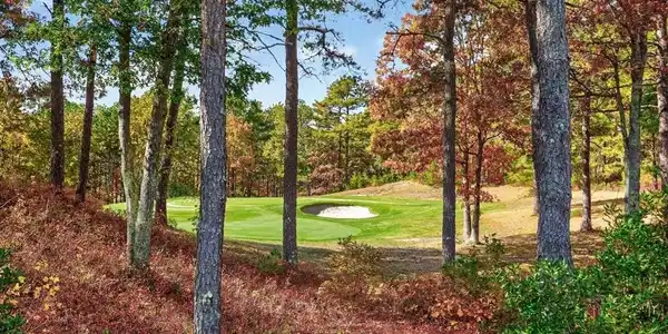 82 Conifer Hill