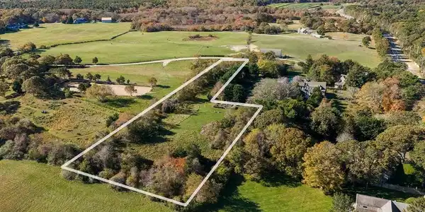 5 Louis Field