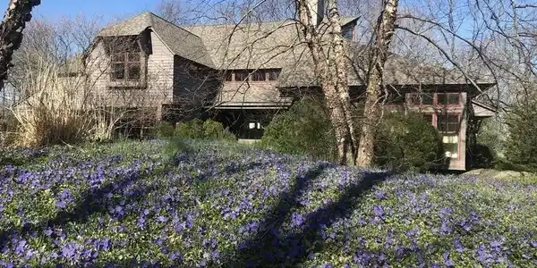 7 Andrews Hollow