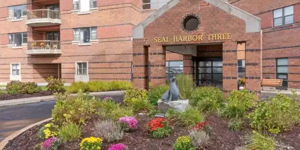 3 Seal Harbor