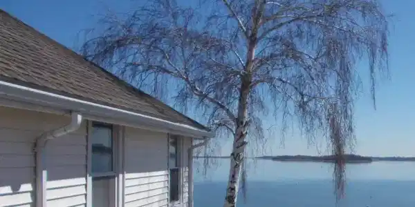 10 Homestead Ave