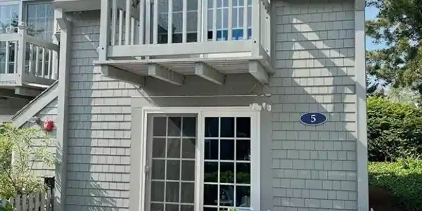 5 Hydrangea Ln