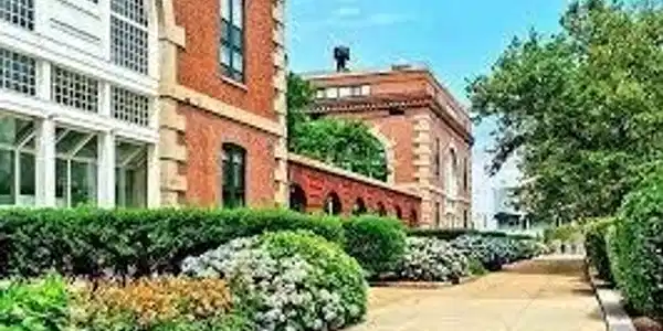 42 8th St