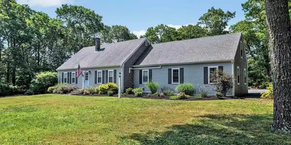 30 Bay Pine