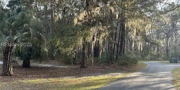 Image 4 Image 4
