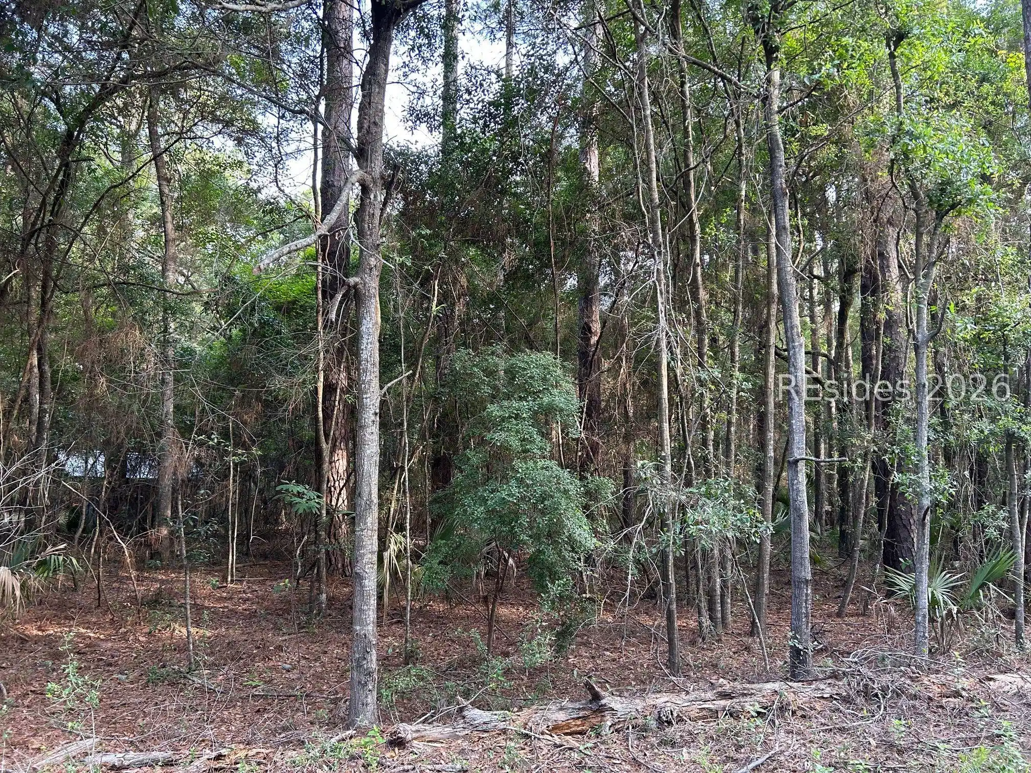 Image 1 Image 1