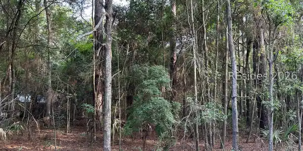 214 Benjies Point Road