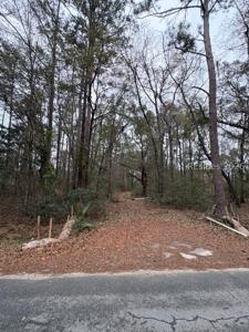 204 Palmetto Bluff Road