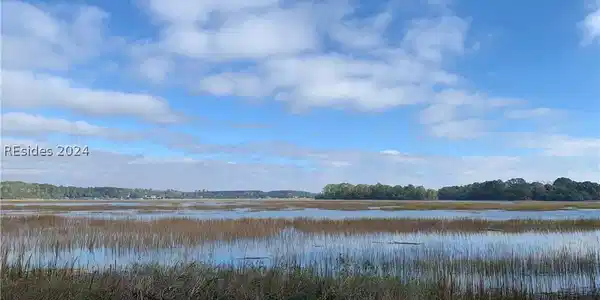 26 Carrier Bluff