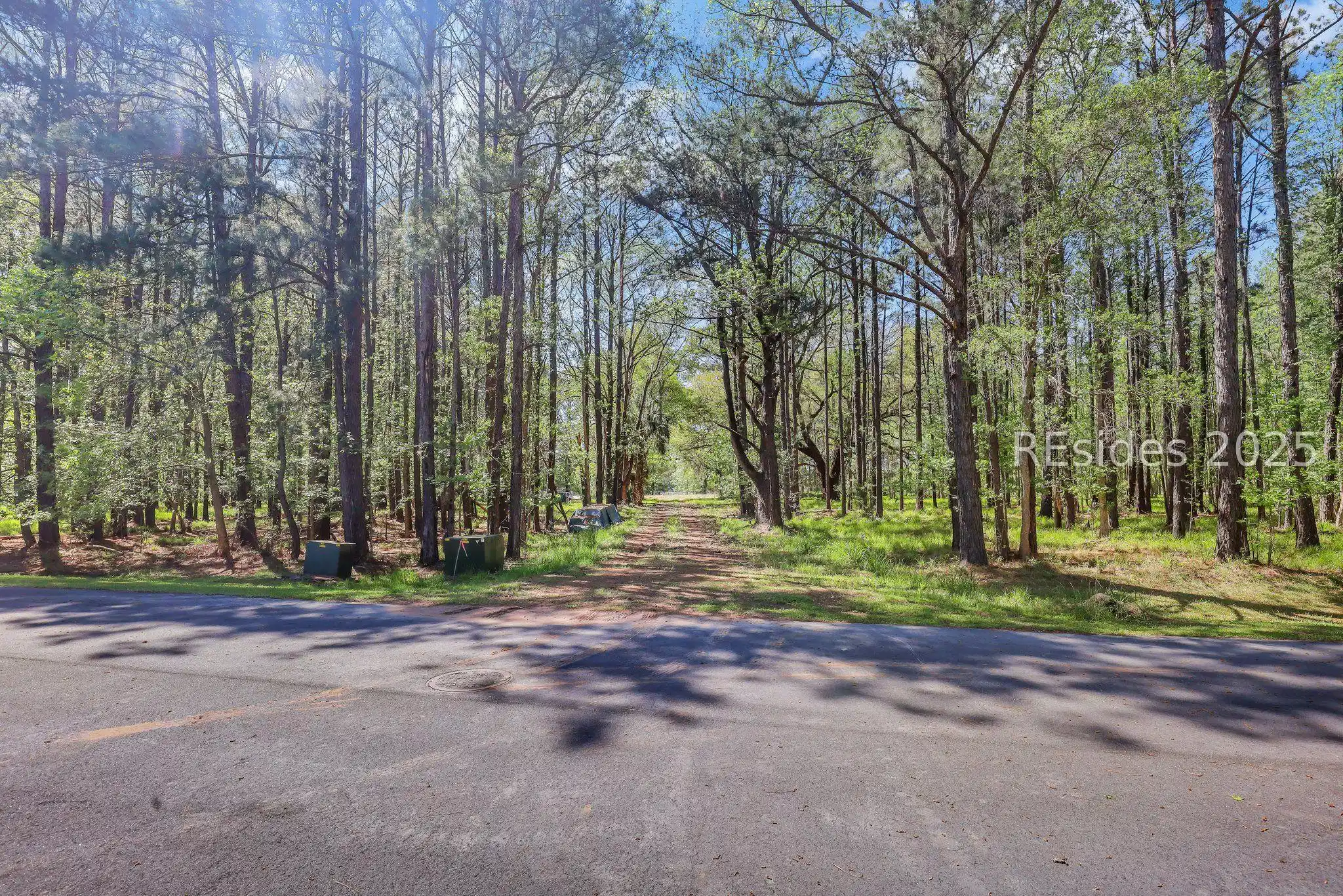 Image 1: Beautiful entry into this large lot Image 1: Beautiful entry into this large lot