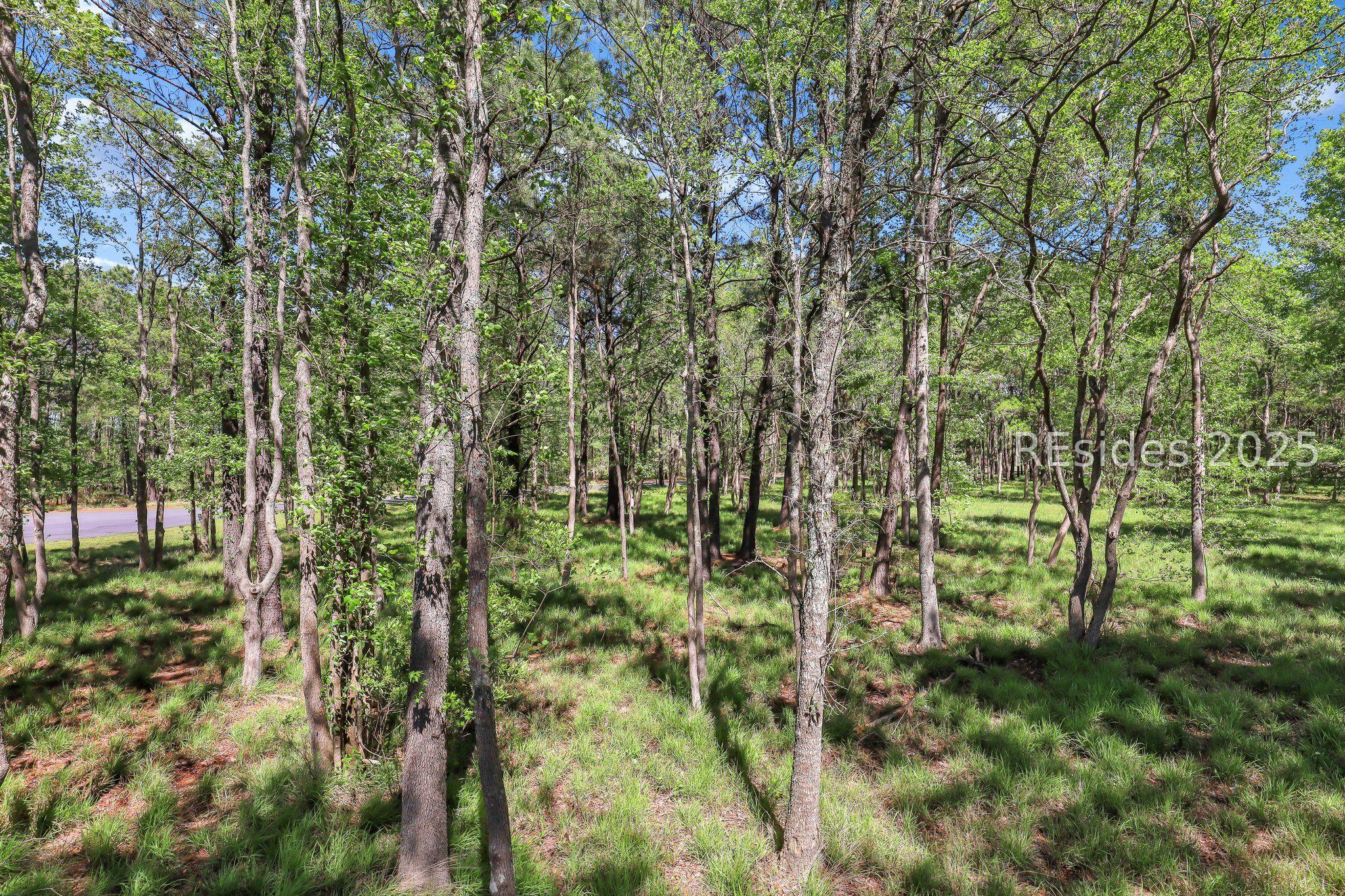 Image 4: 5.4 acres- room for privacy or paddocks or a farm Image 4: 5.4 acres- room for privacy or paddocks or a farm