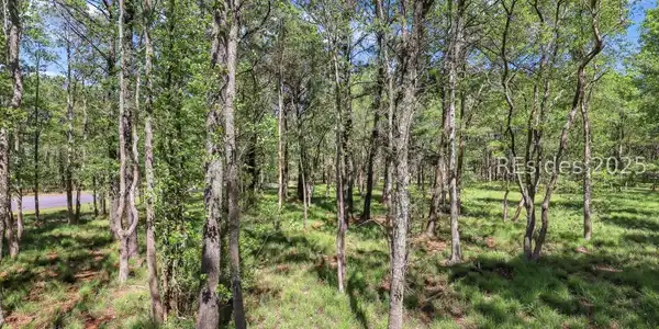 Image 4: 5.4 acres- room for privacy or paddocks or a farm Image 4: 5.4 acres- room for privacy or paddocks or a farm