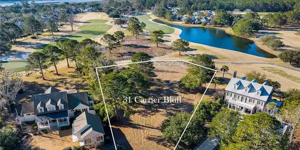31 Carrier Bluff