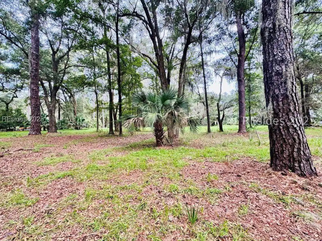 Image 1 Image 1