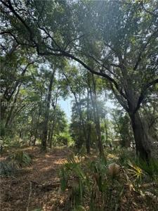 32 Haig Point Rd