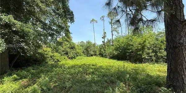 5 Caladium Court
