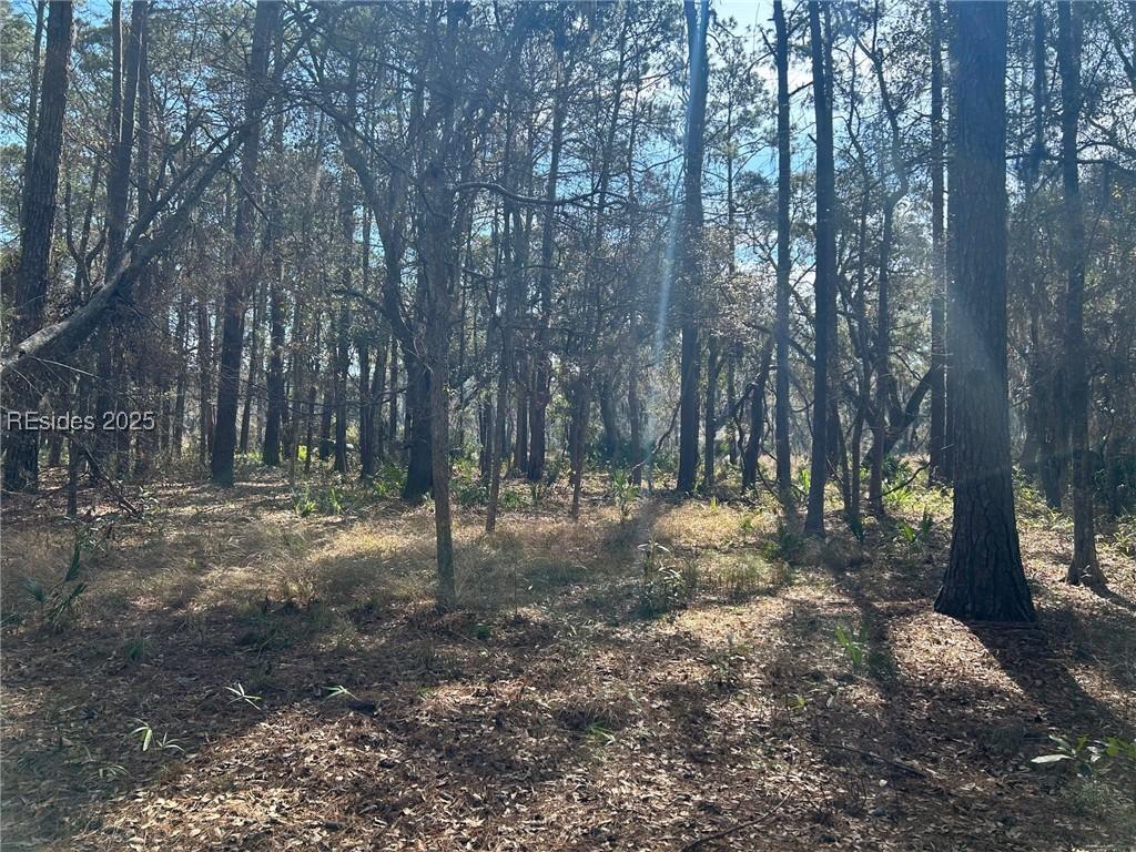 Image 3: Lot interior