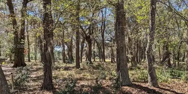 30 Volunteers Ridge