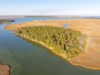 TBD Blackwall Island