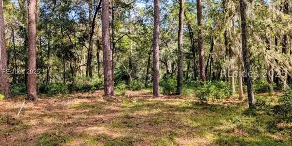 48 Volunteers Ridge