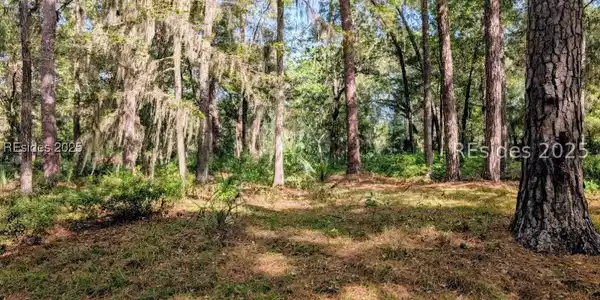 Image 3 Image 3