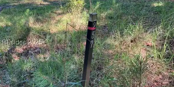 41 Volunteers Ridge