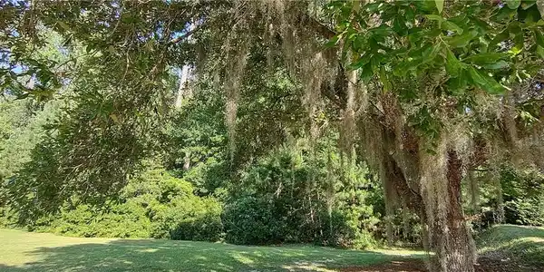 283 Hampton Lake Drive
