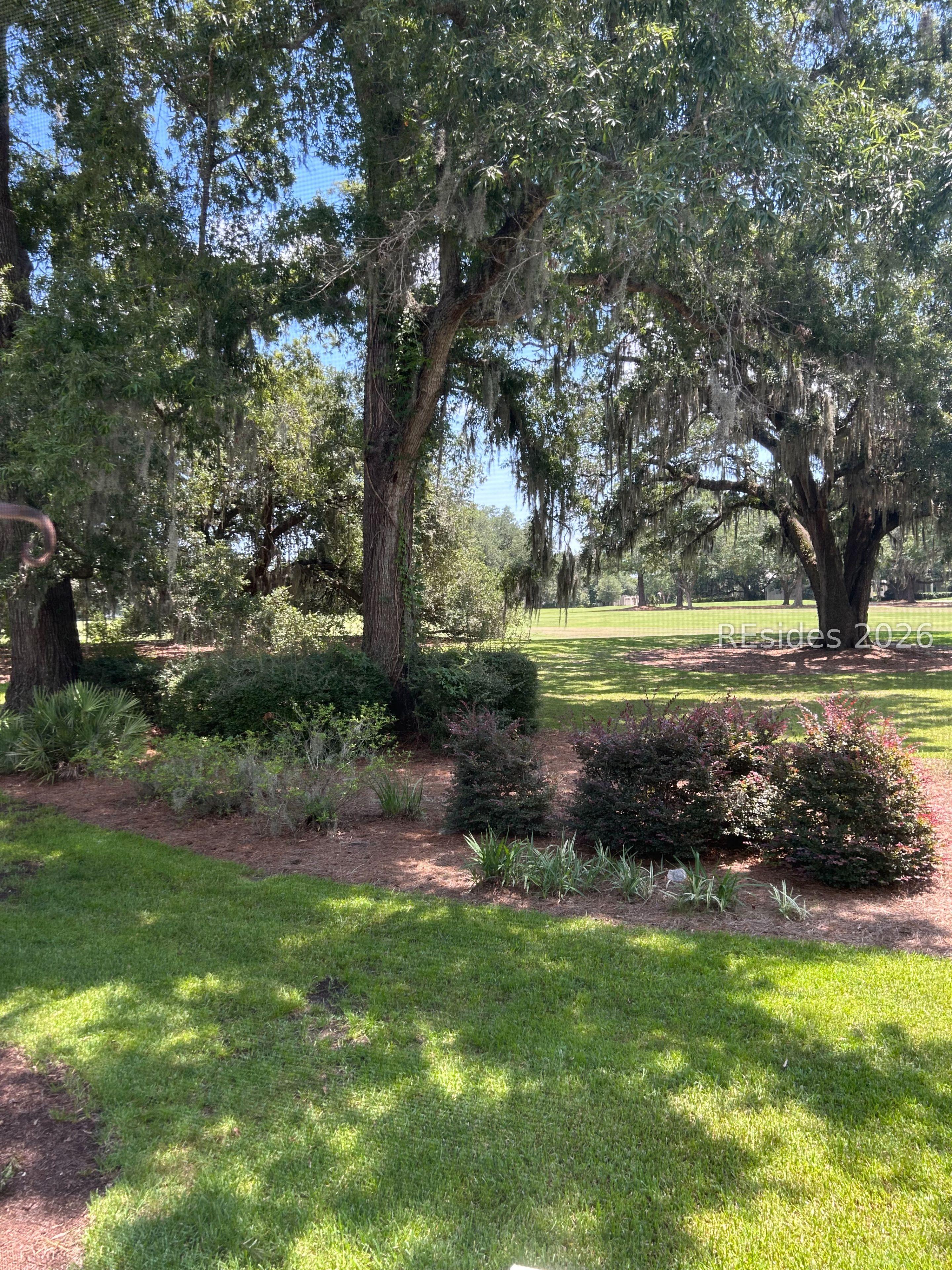 Image 4 Image 4