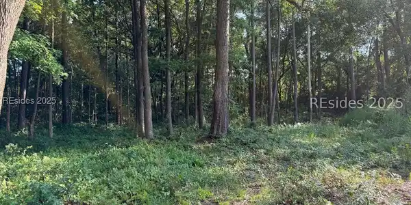 Image 3 Image 3